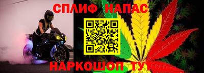 PSILOCYBIN Сланцы