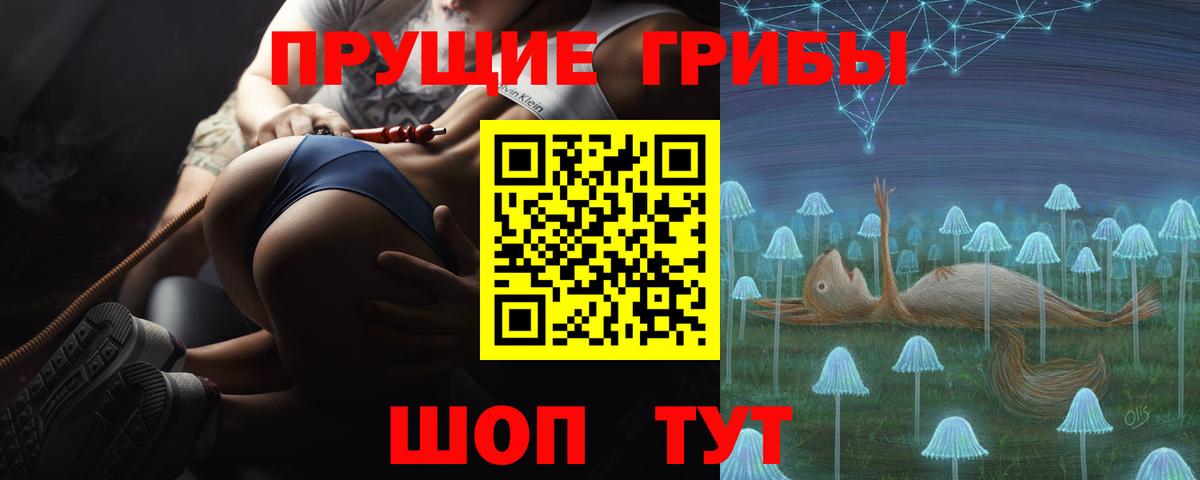 Галлюциногенные грибы Psilocybine cubensis  Вход с VPN  Алушта 